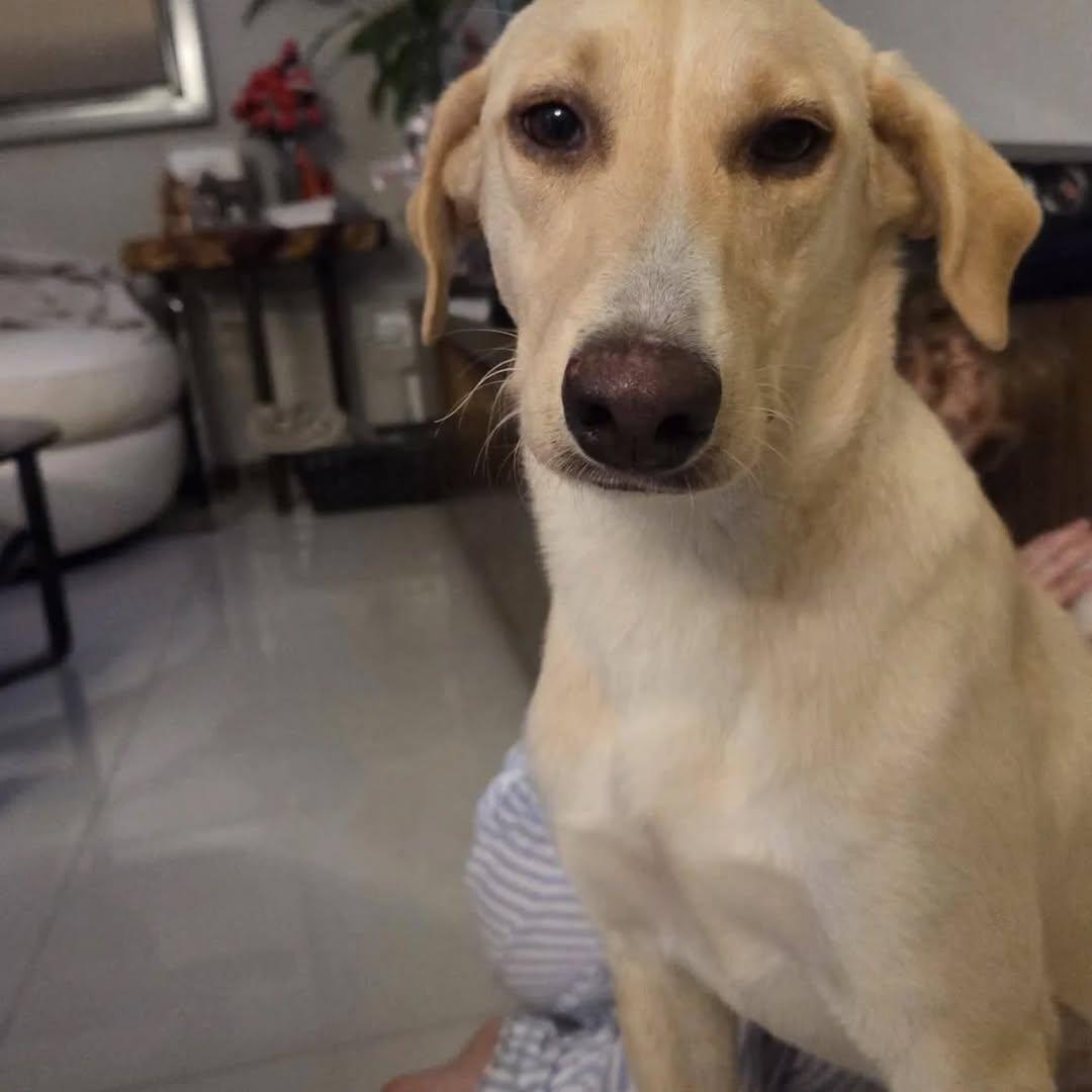 Miel (2/5)