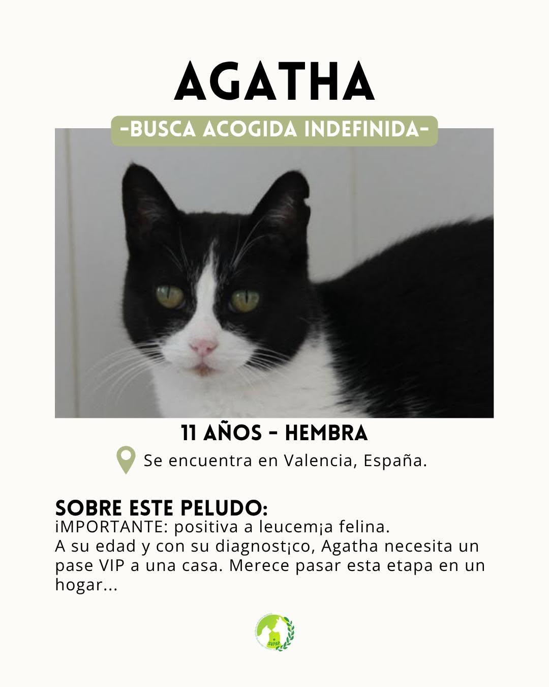 Agatha (2/7)