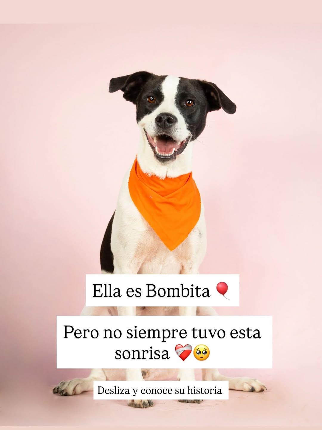 Bombita (1/10)