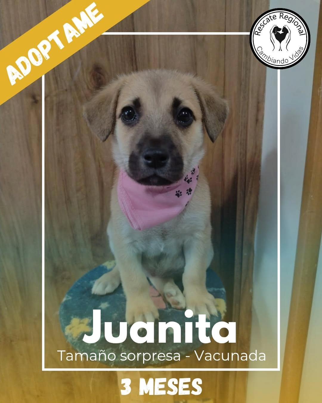 Juanita (1/5)