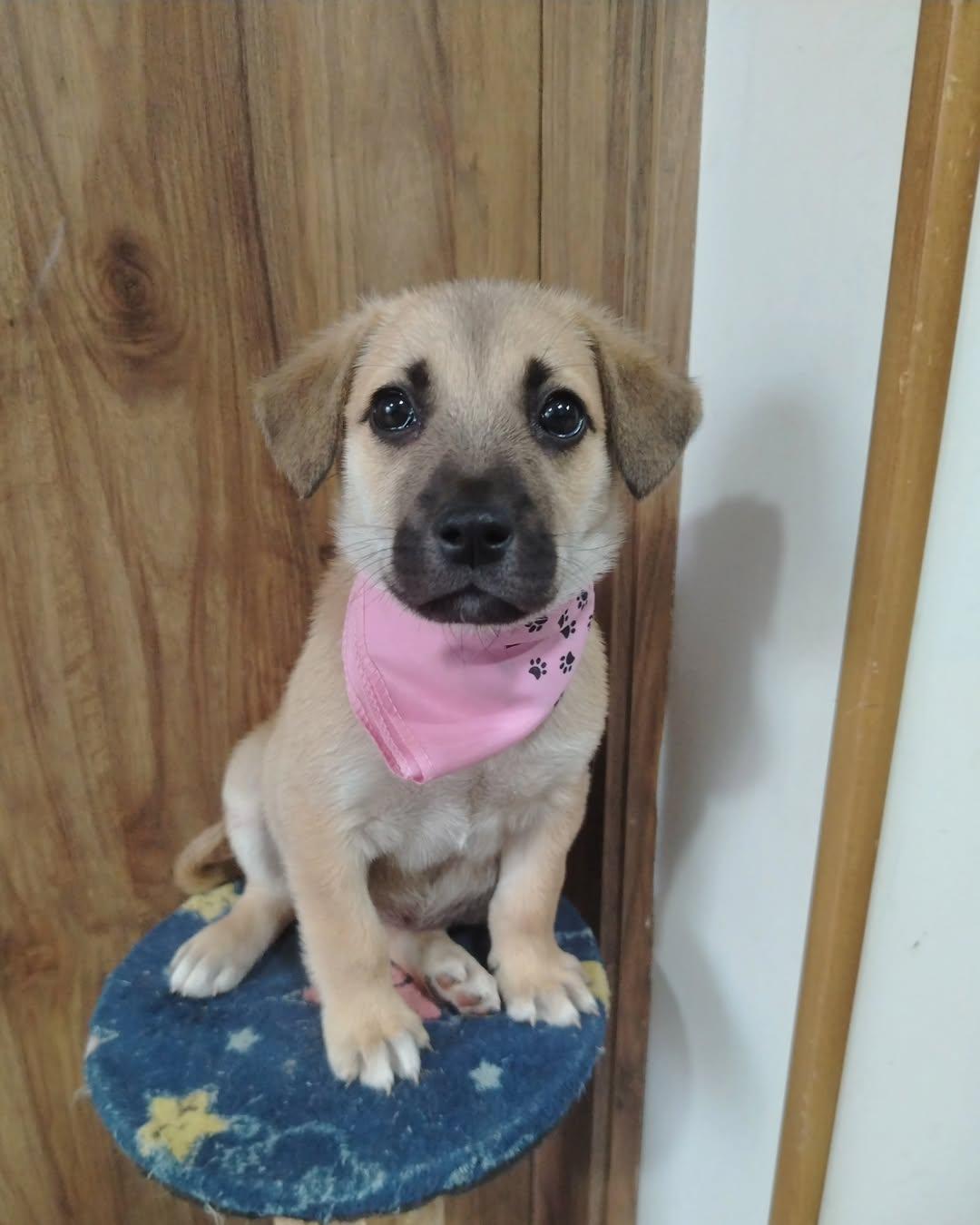 Juanita (2/5)