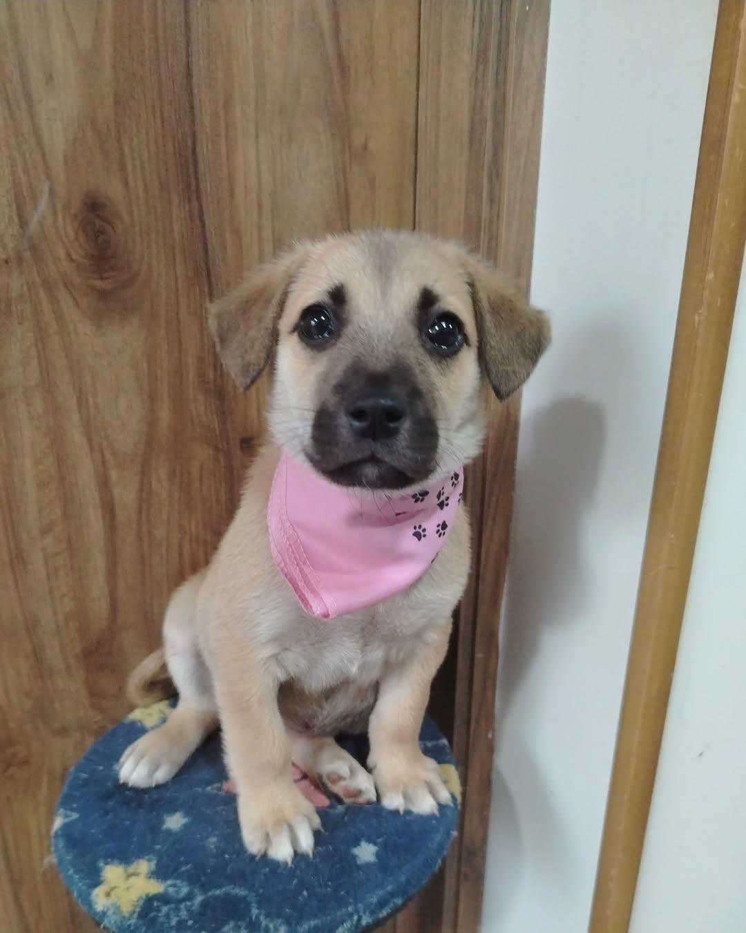 Juanita (3/5)