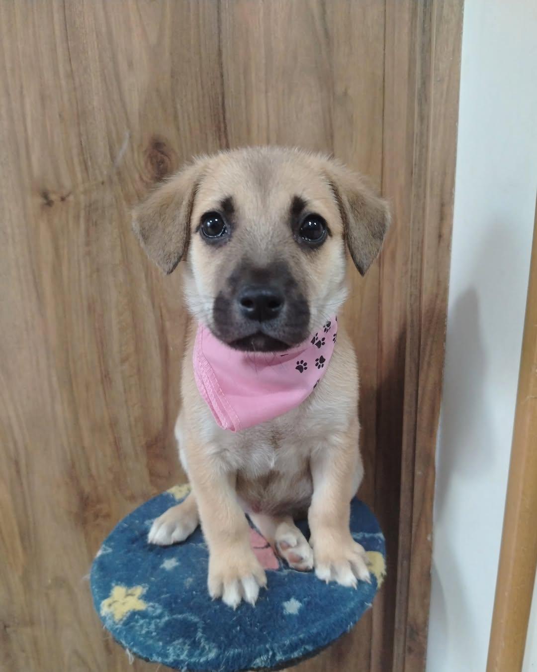 Juanita (4/5)