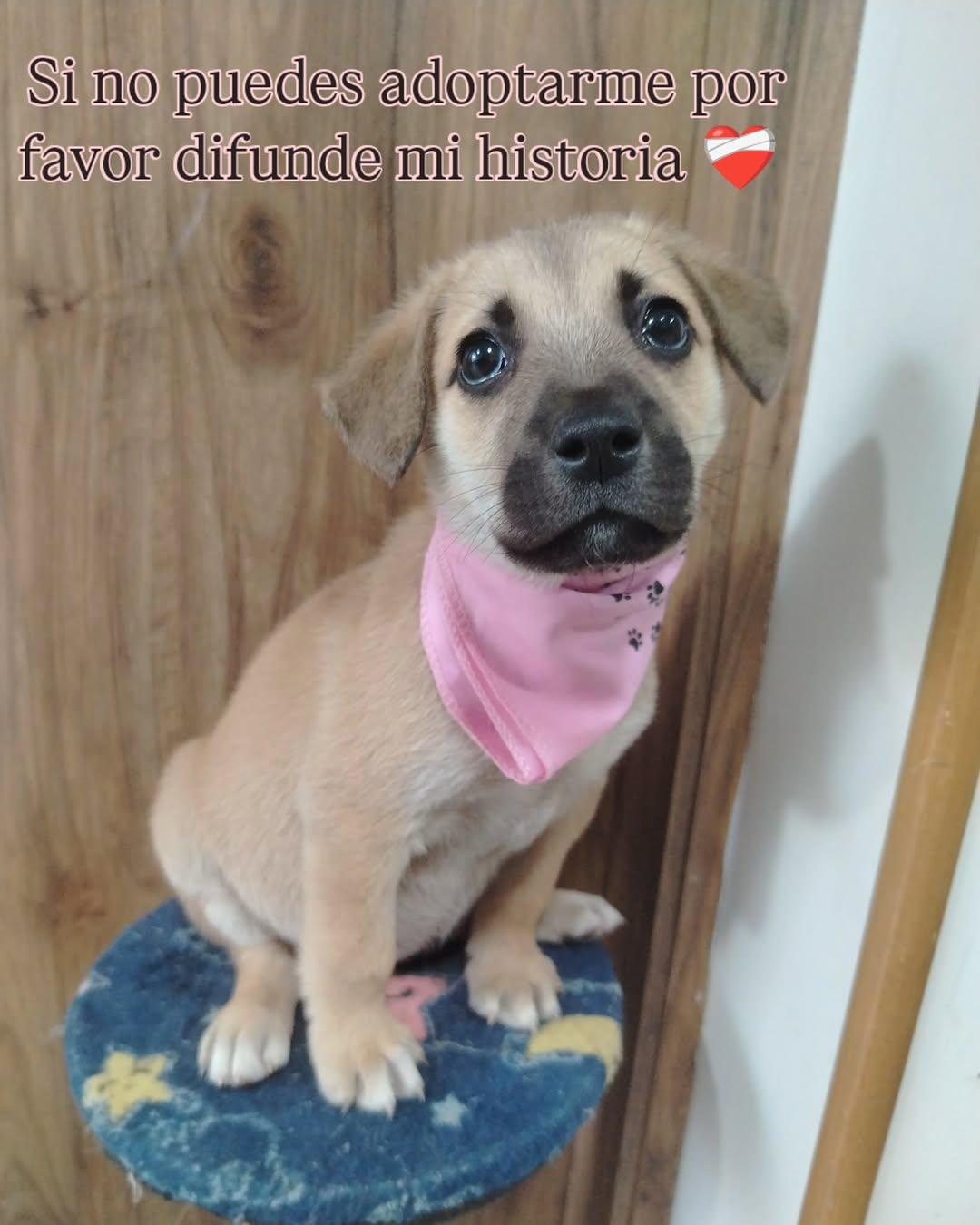 Juanita (5/5)