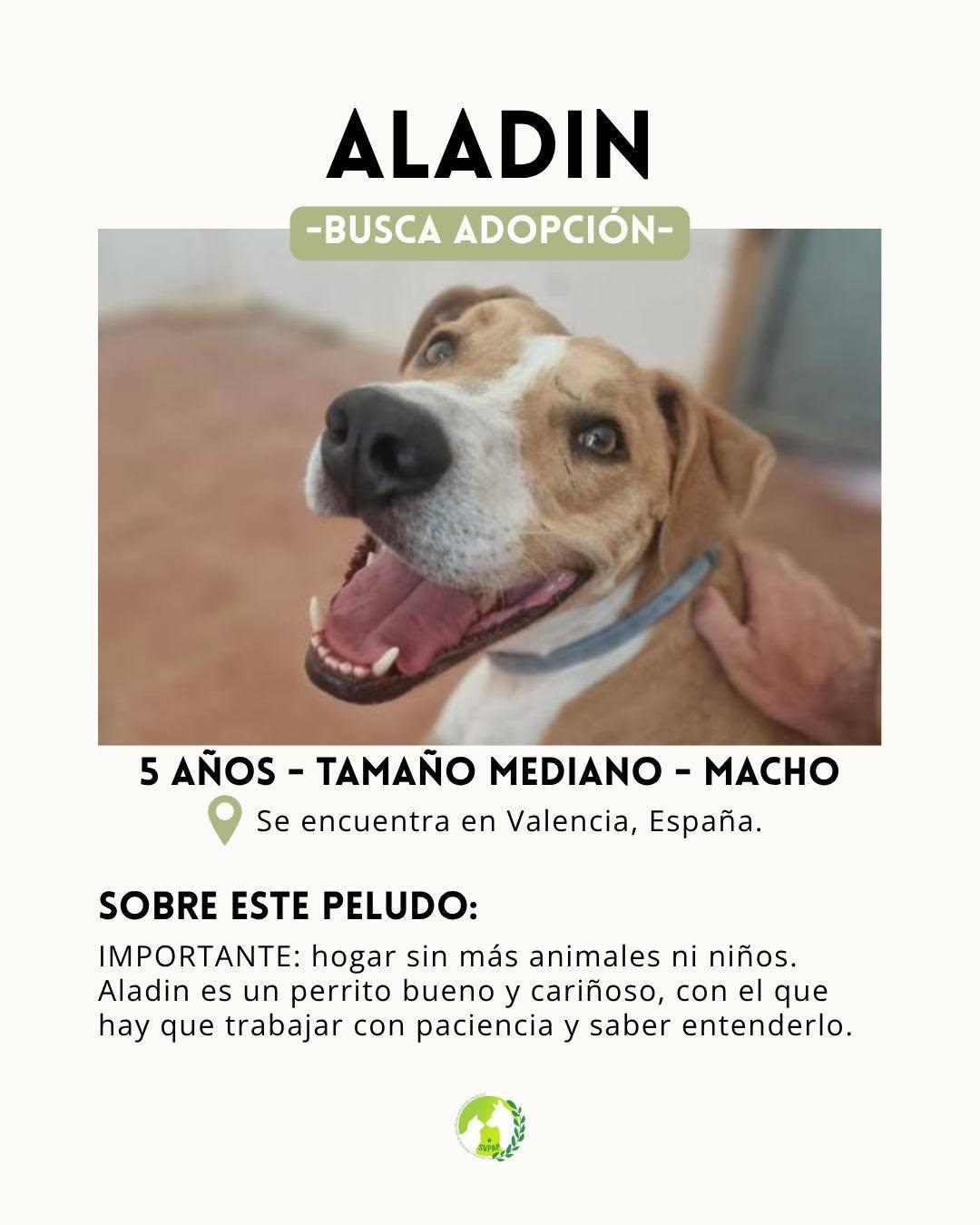 Aladín (2/9)