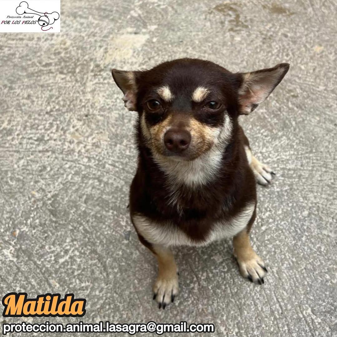 Matilda (3/5)