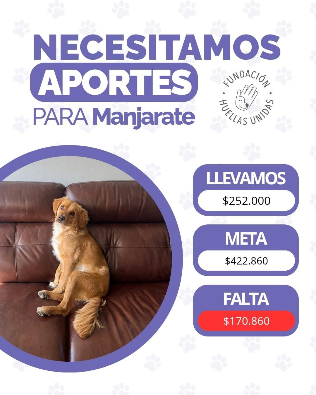 Manjarate (1/6)