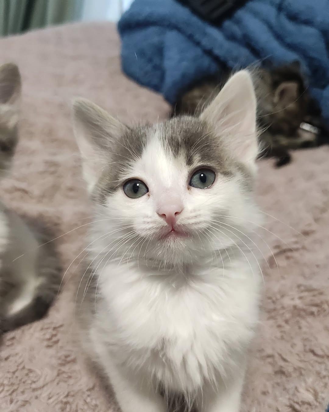 Fiona, Lisa (2/4)
