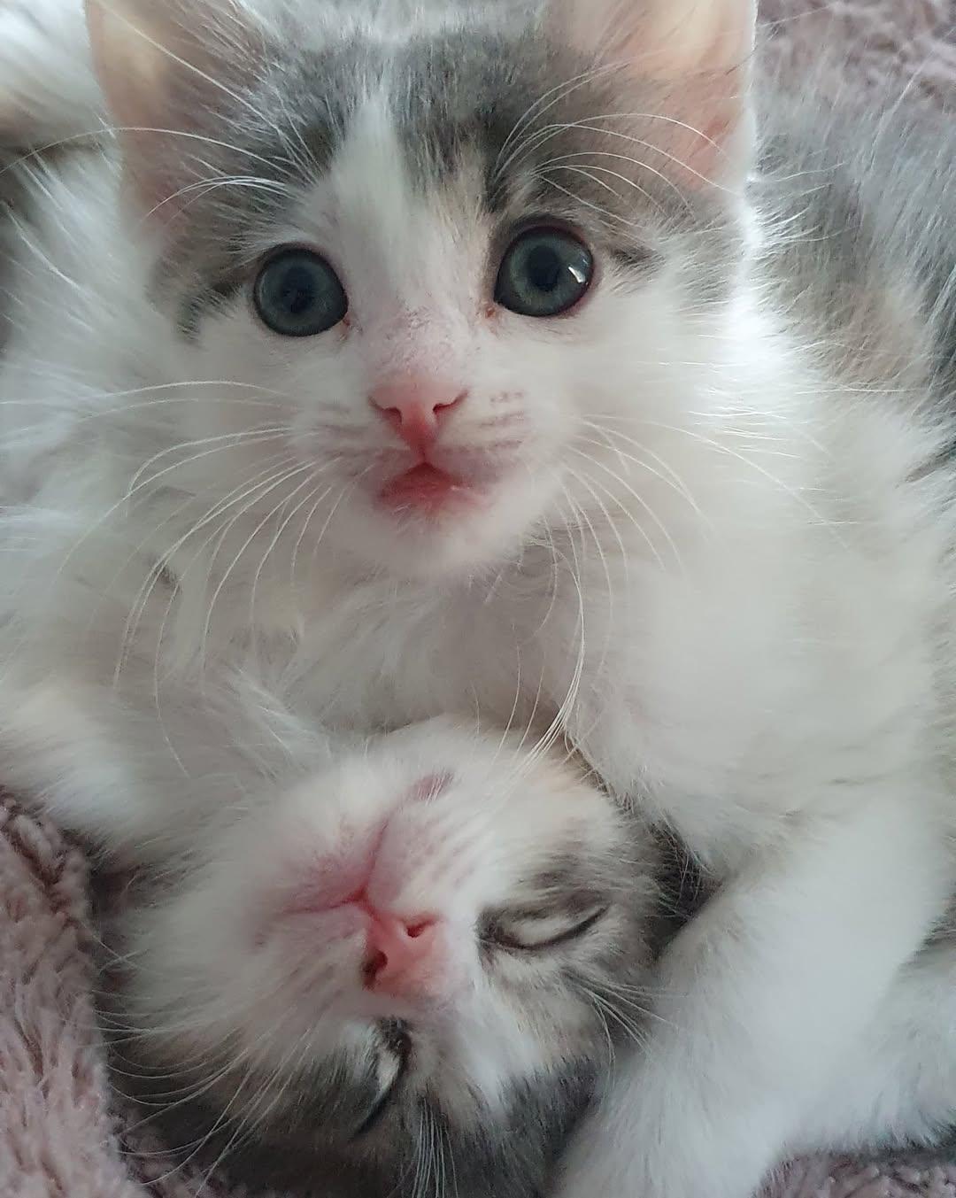 Fiona, Lisa (4/4)