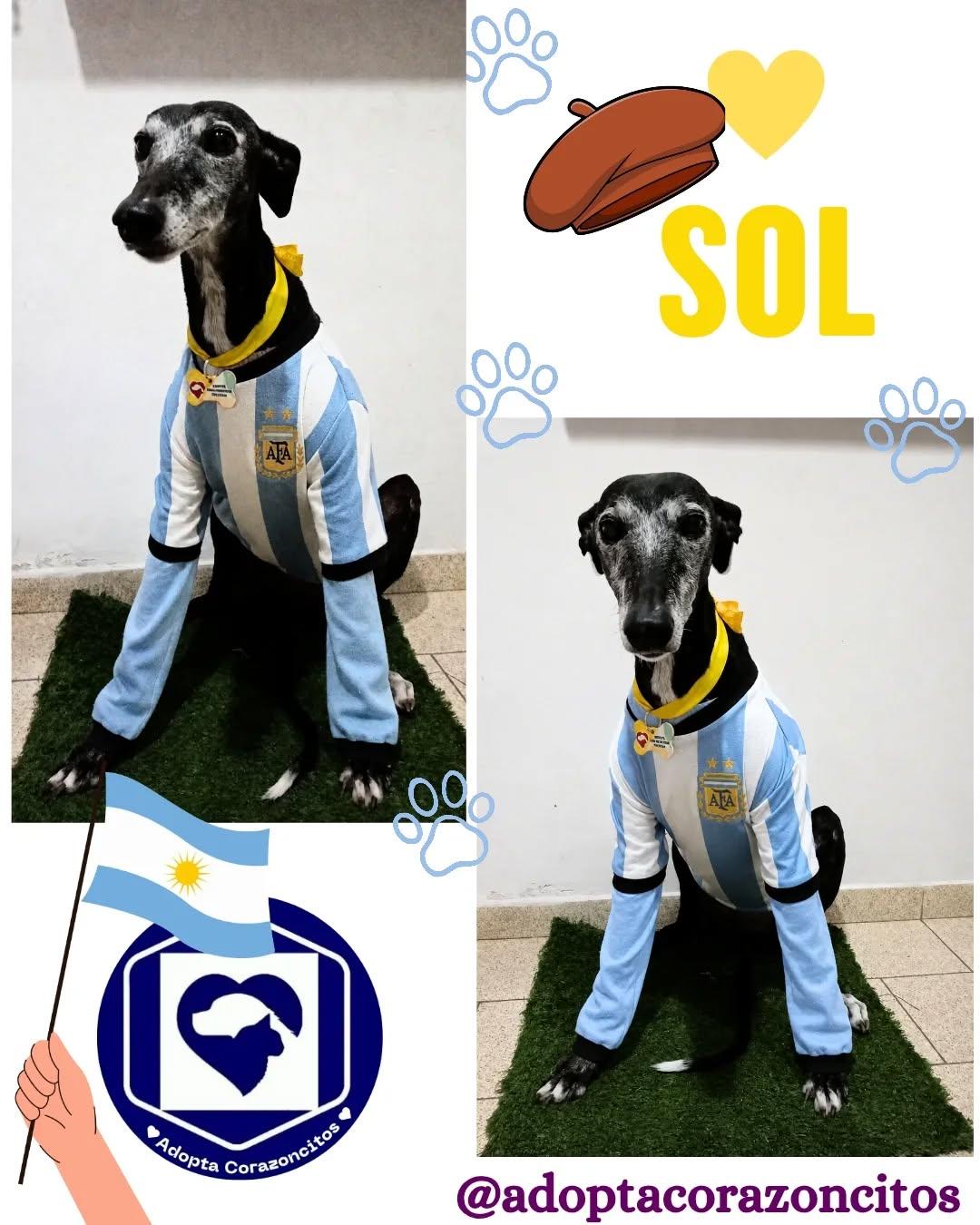 Sol