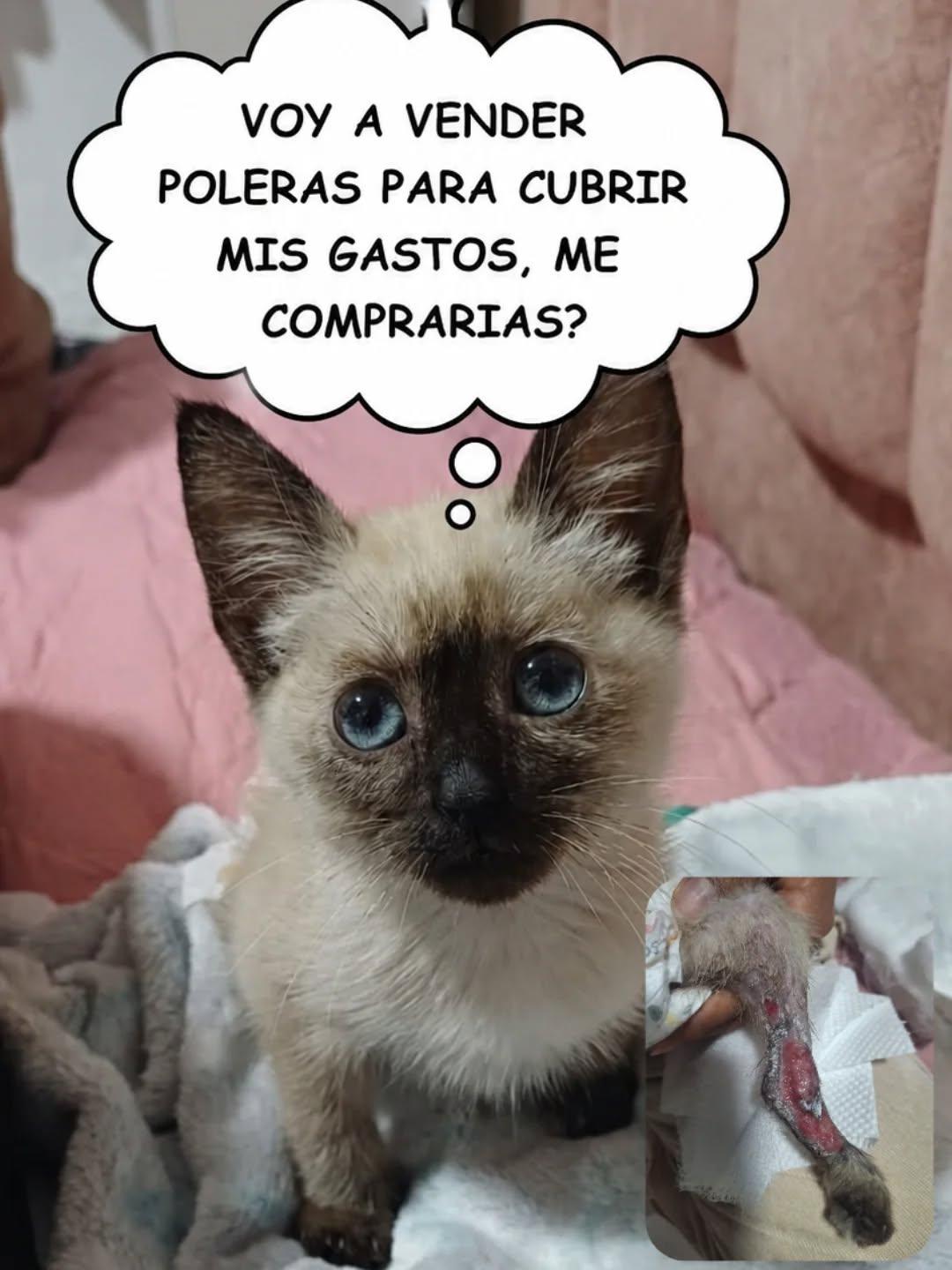 Emmita