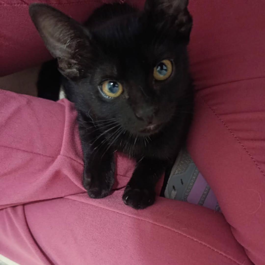 Misty (3/4)