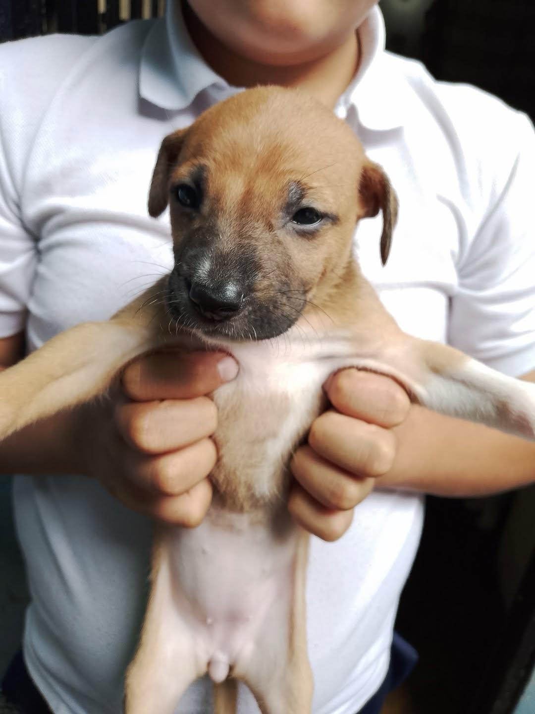 Chaze, Roxy (12/14)