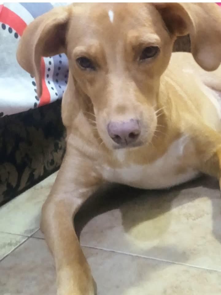 Chaze, Roxy (13/14)