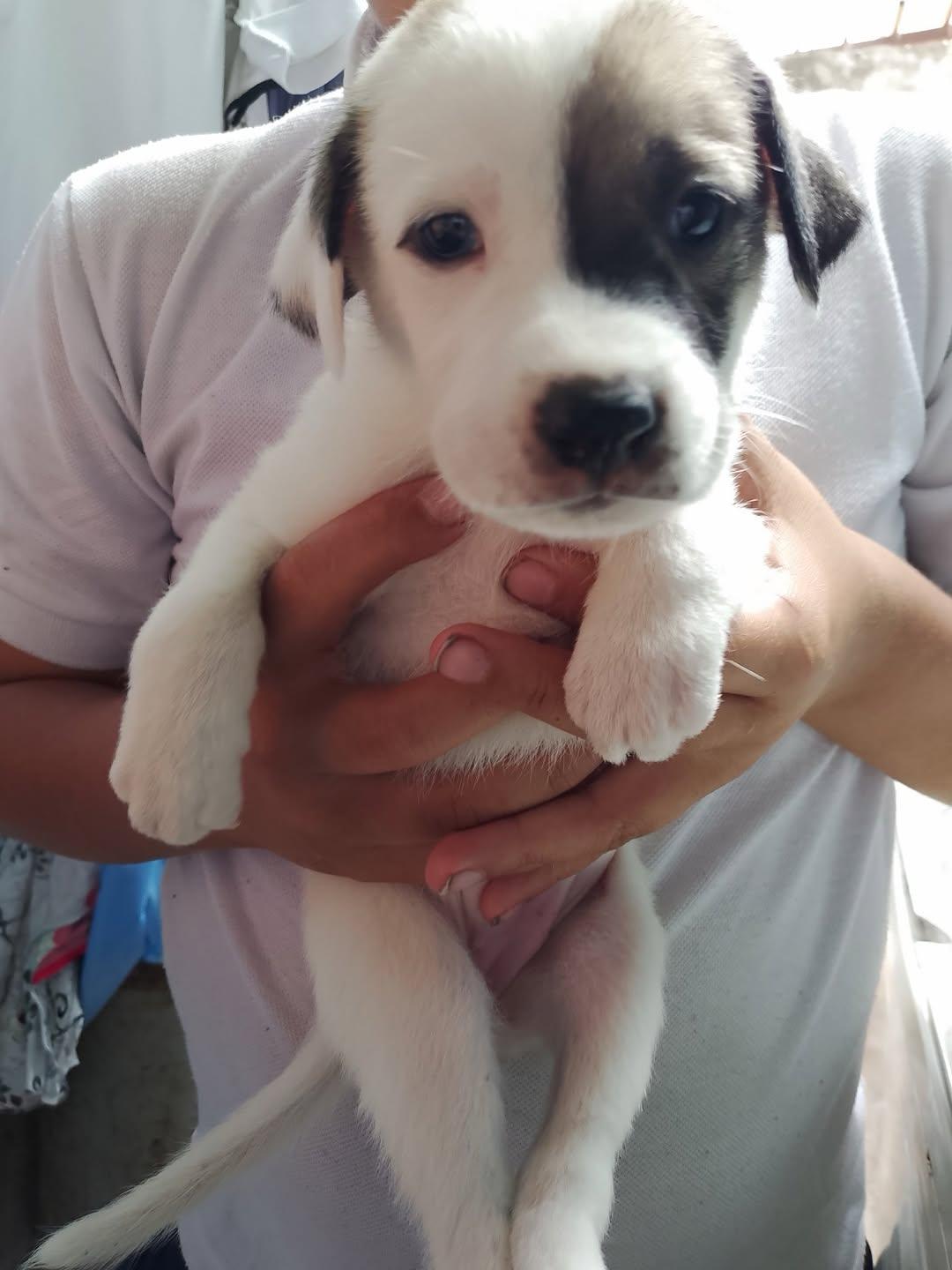 Chaze, Roxy (9/14)