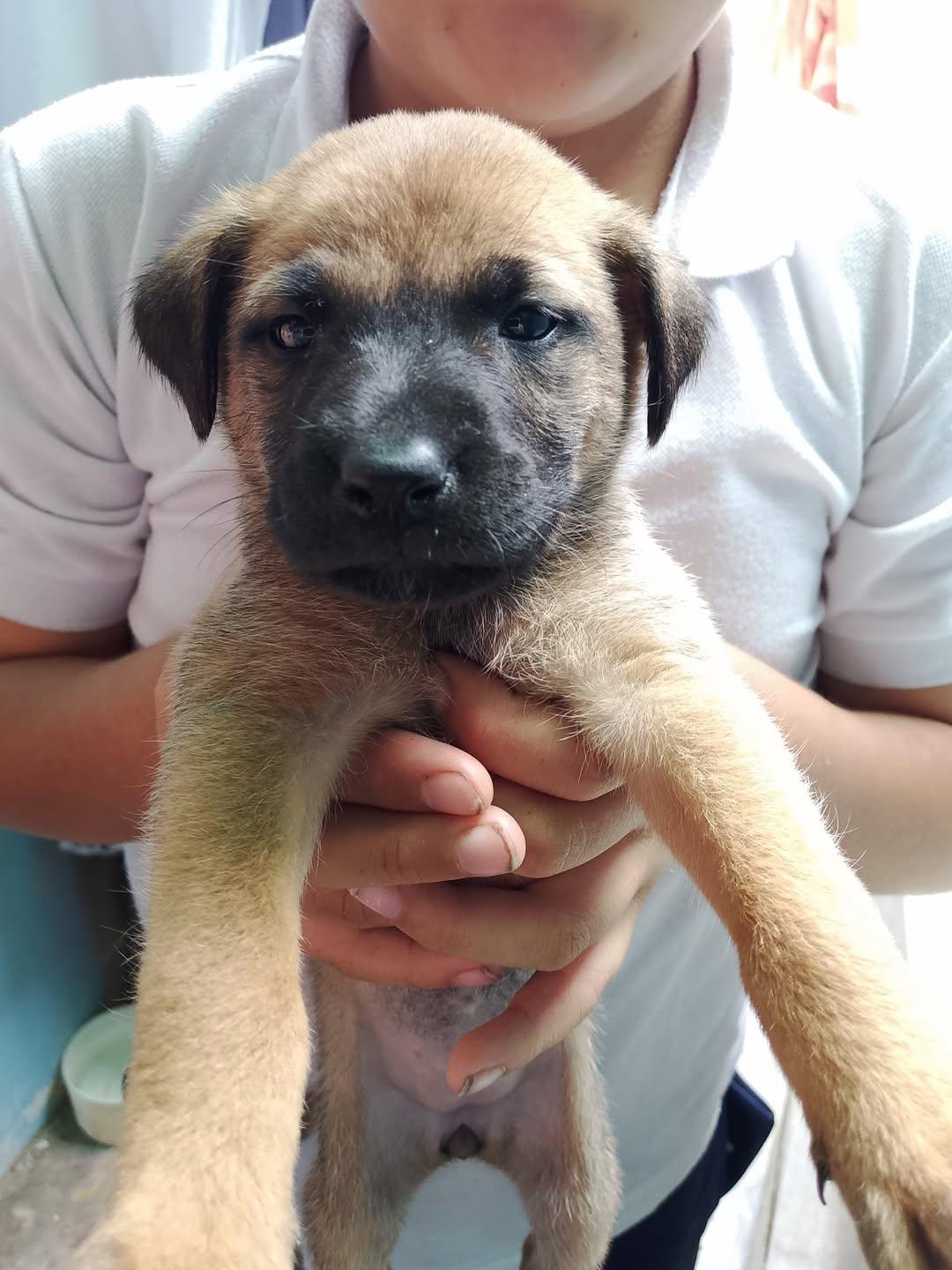 Chaze, Roxy (10/14)