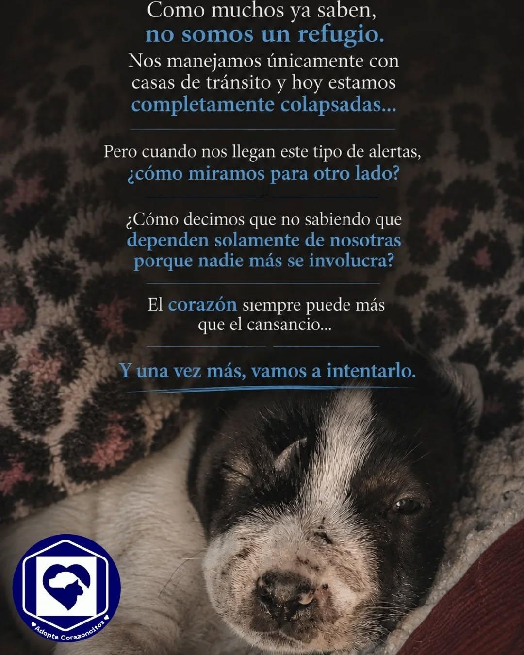 Sin nombre (1/4)
