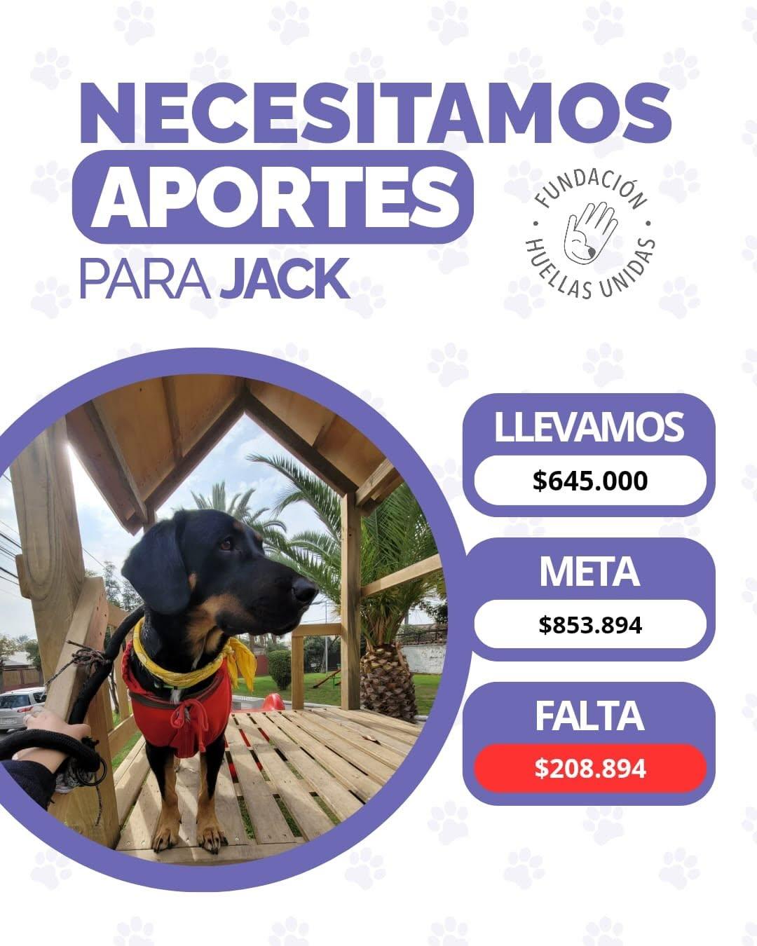 Jack (1/3)
