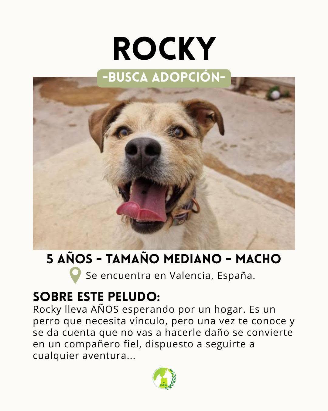 Rocky (2/9)