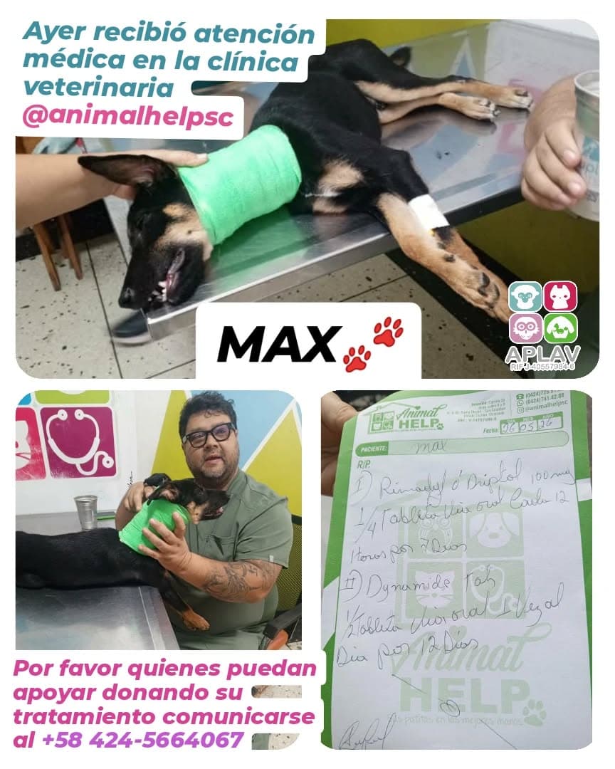 Max
