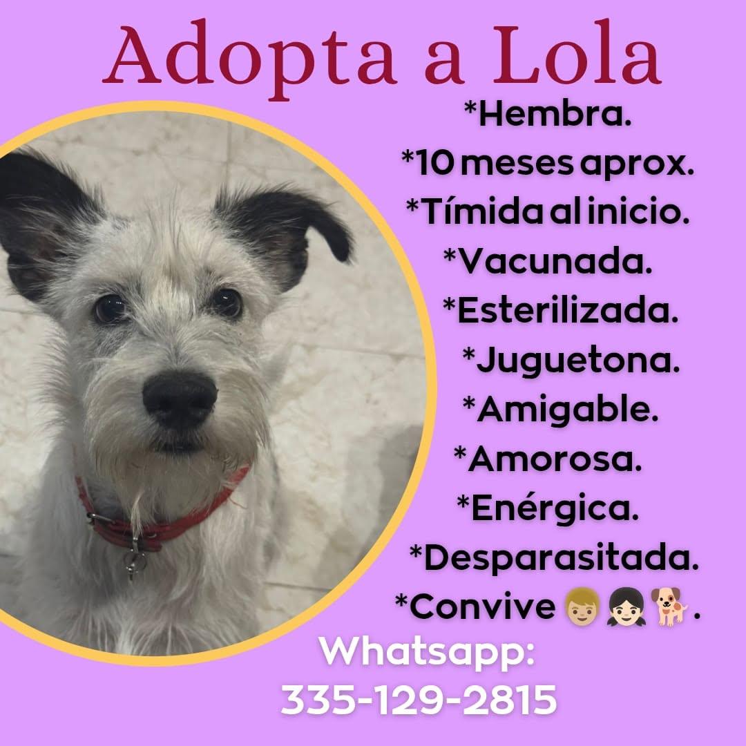 Lola