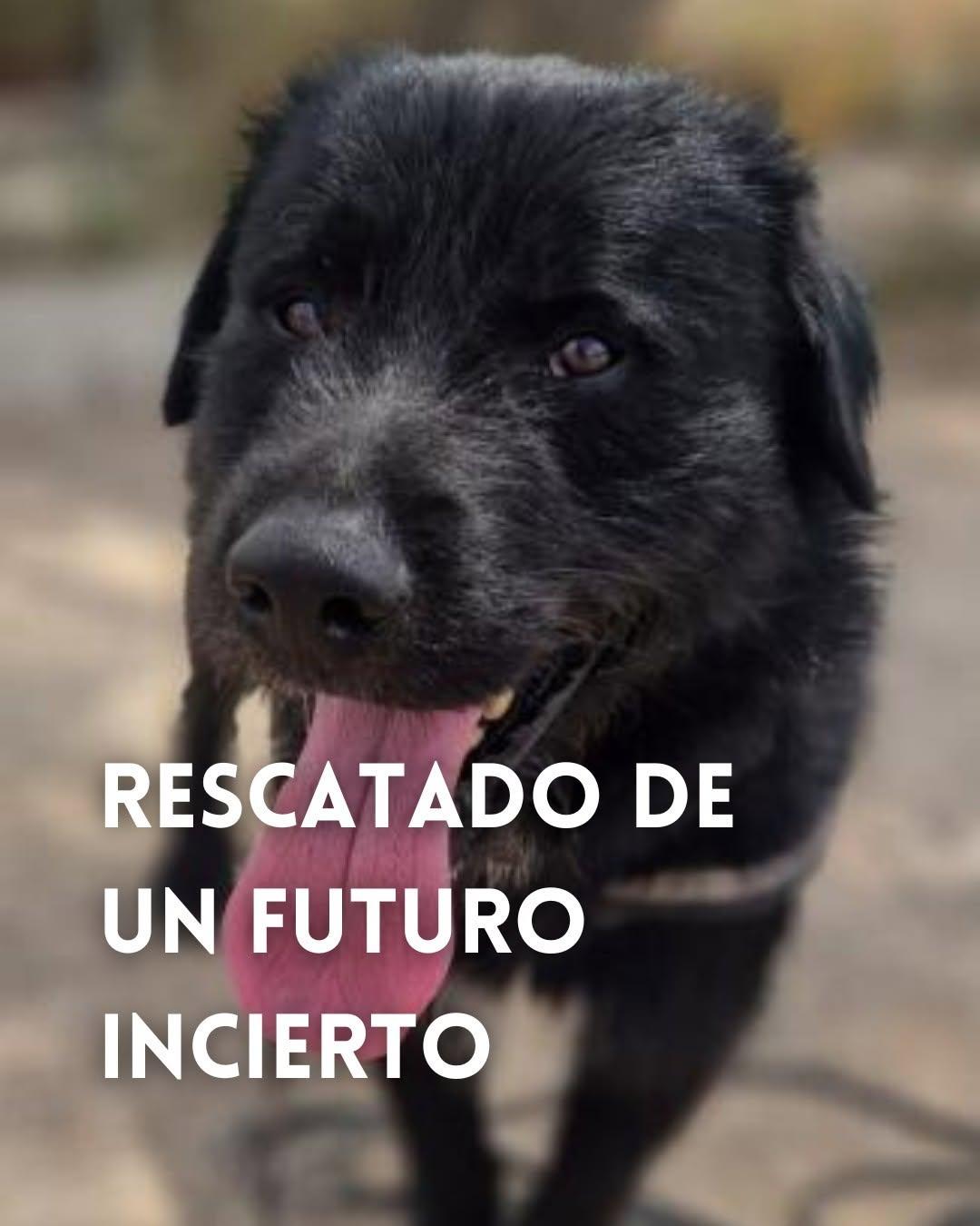 Carbón (1/8)