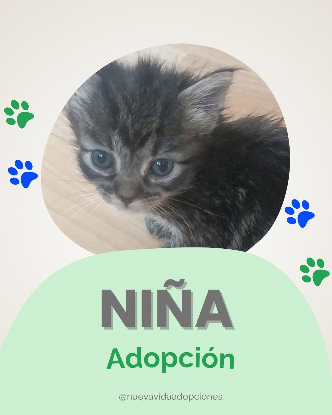 NIÑA (1/3)