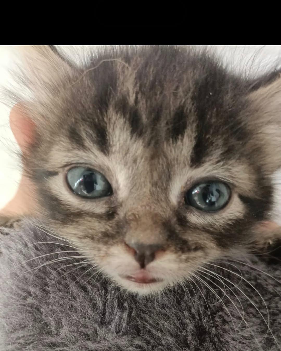 NIÑA (3/3)