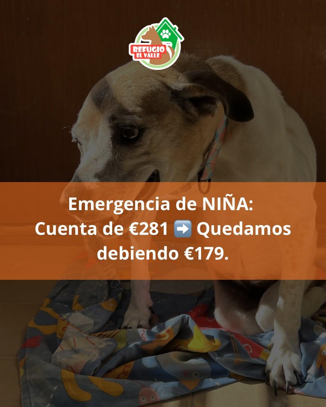 Niña, Ratigan (3/8)