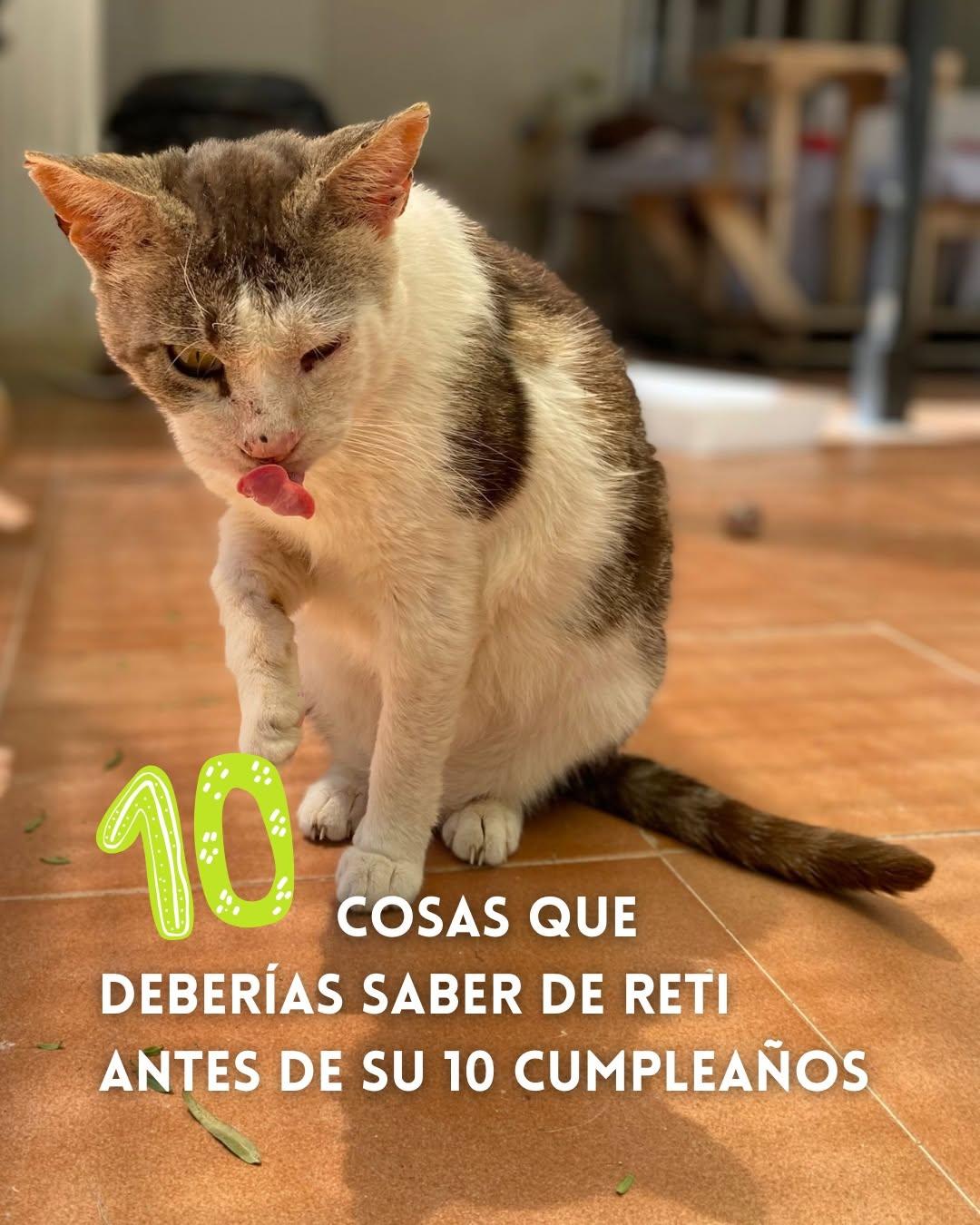 Reti (1/10)