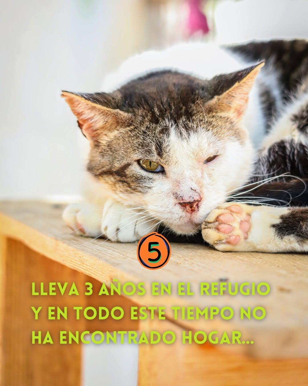 Reti (6/10)