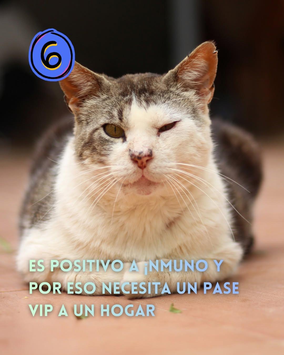 Reti (7/10)
