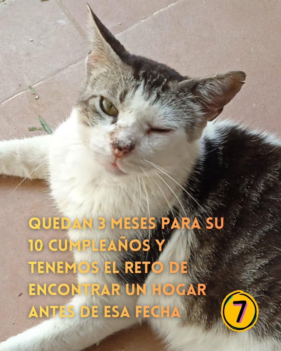 Reti (8/10)
