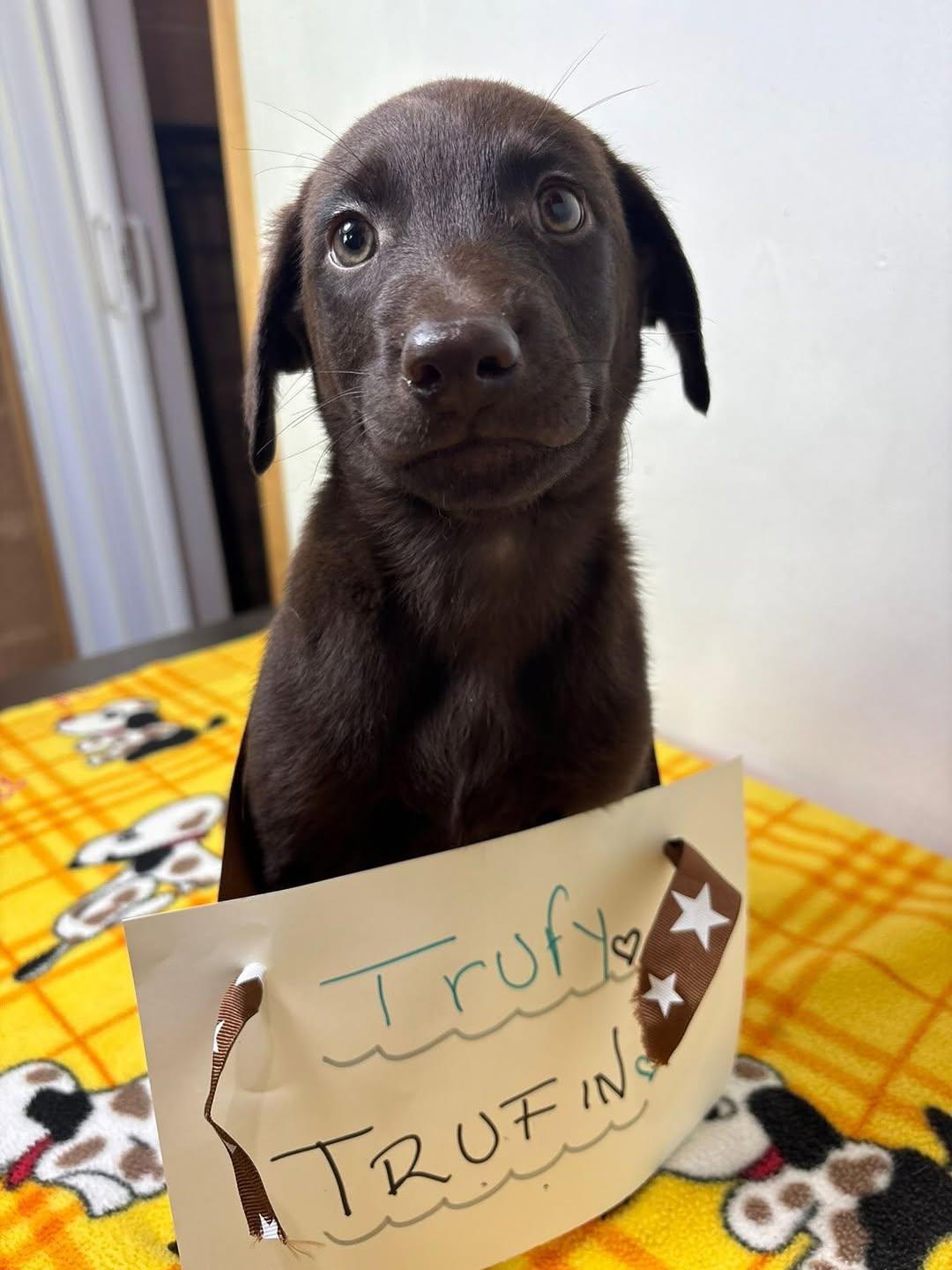 Trufun (5/7)