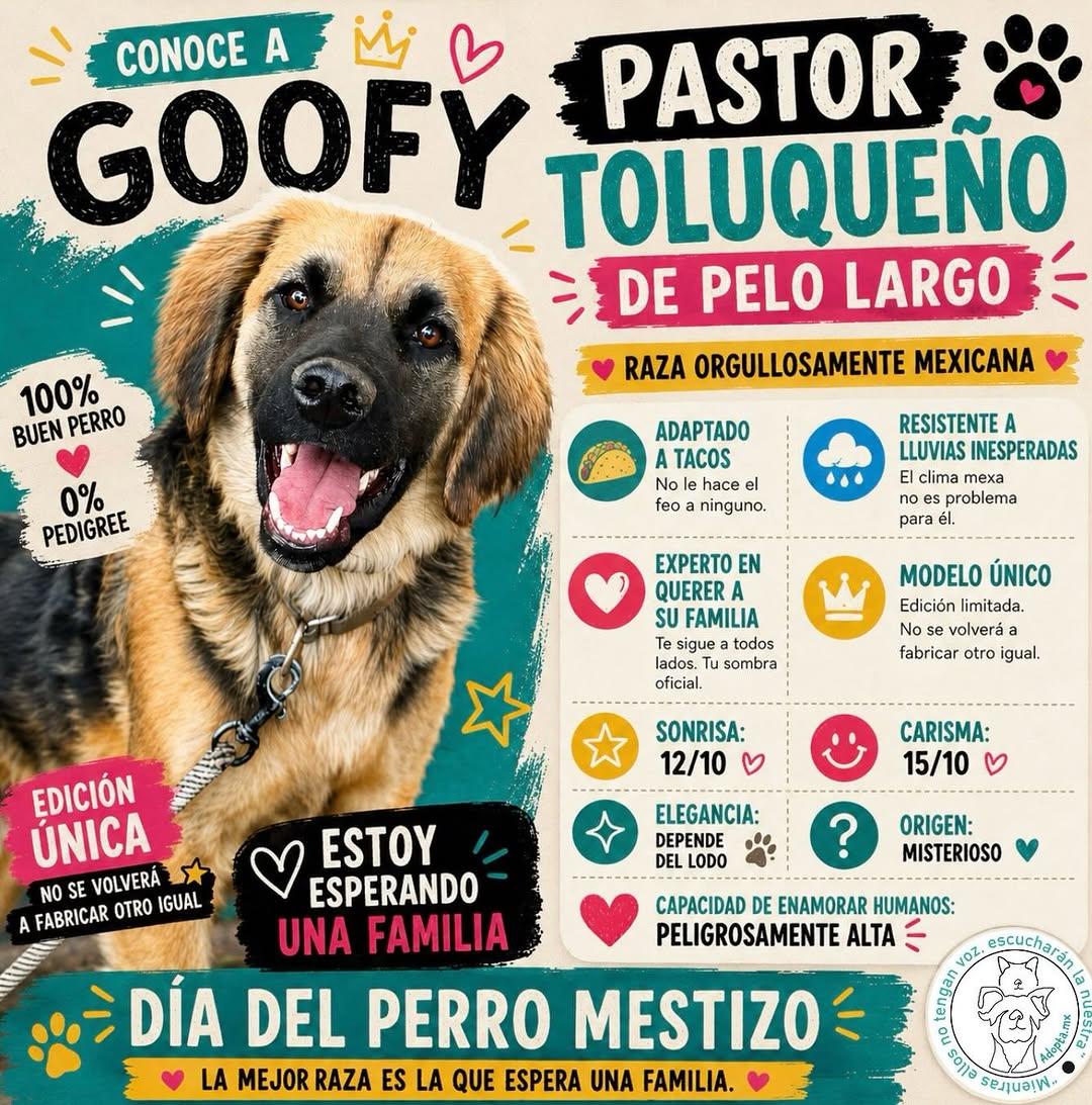 Goofy