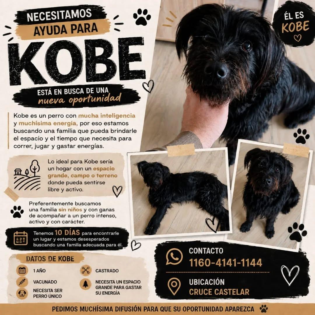Kobe