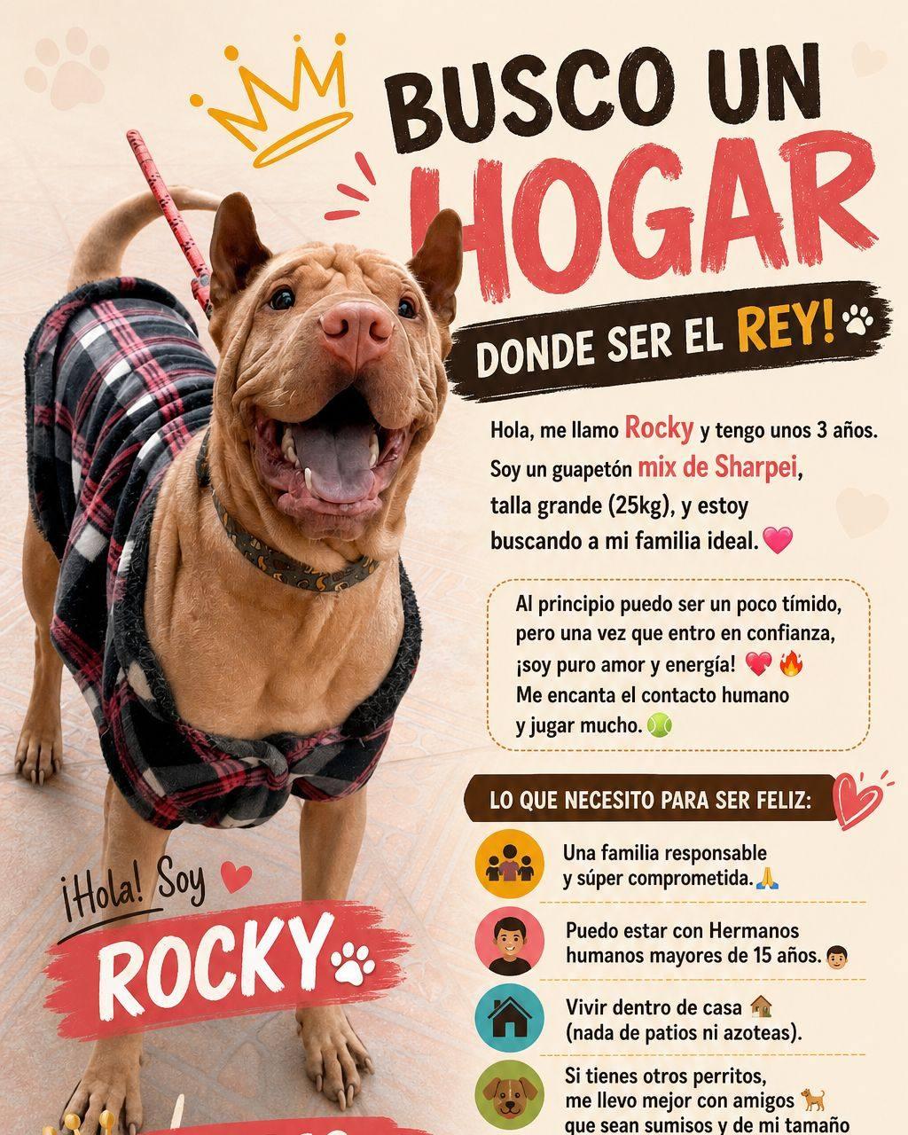 Rocky