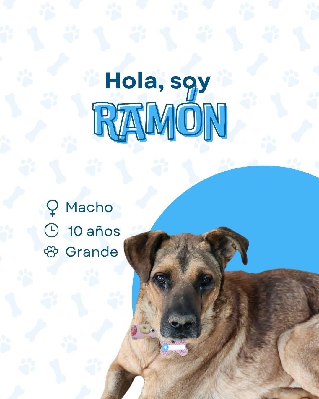 Ramón (1/4)