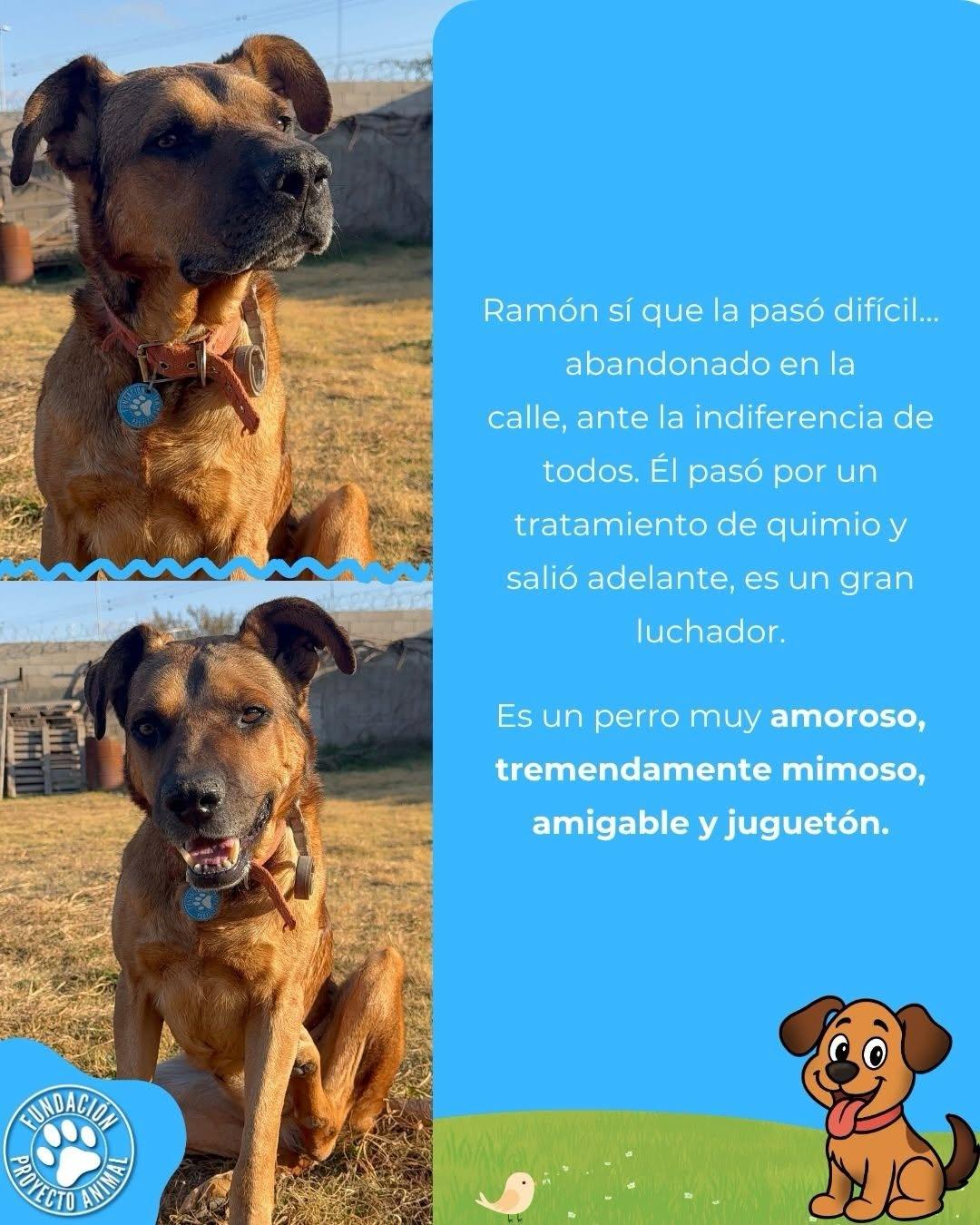 Ramón (2/4)