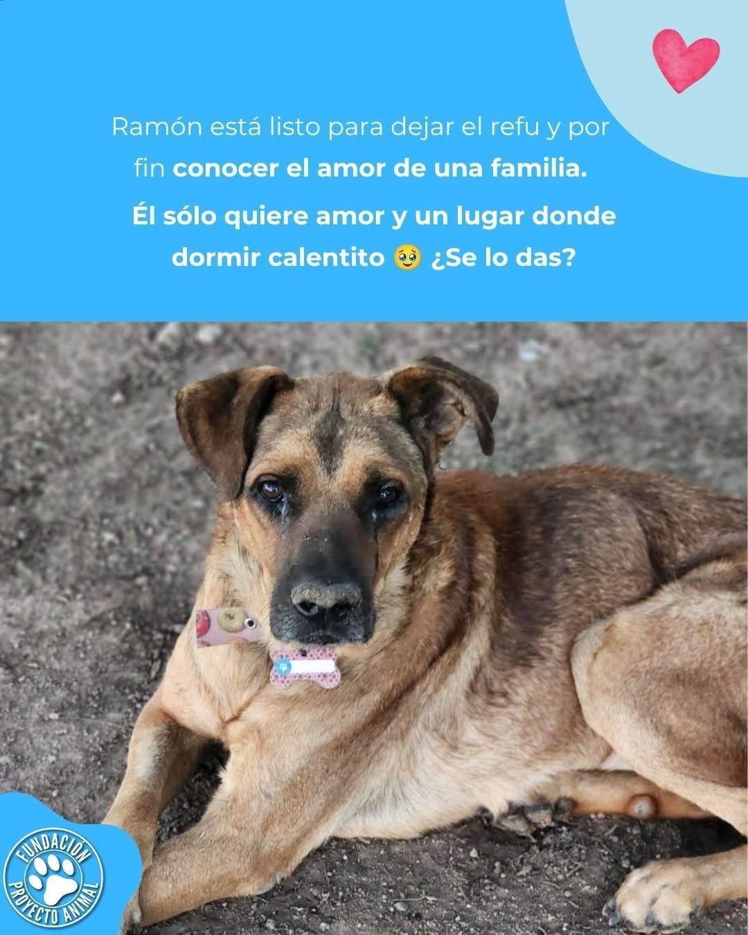 Ramón (3/4)