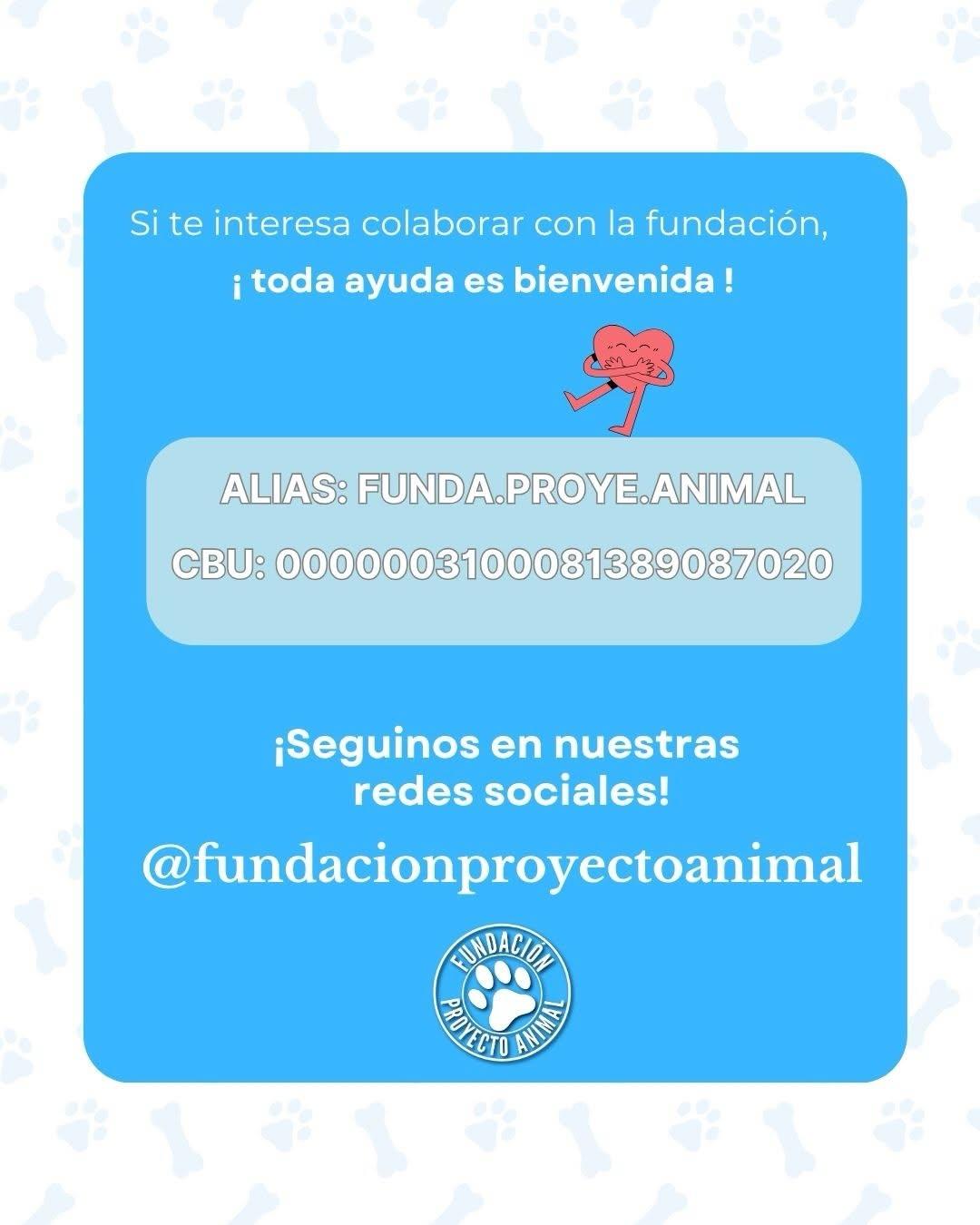 Ramón (4/4)