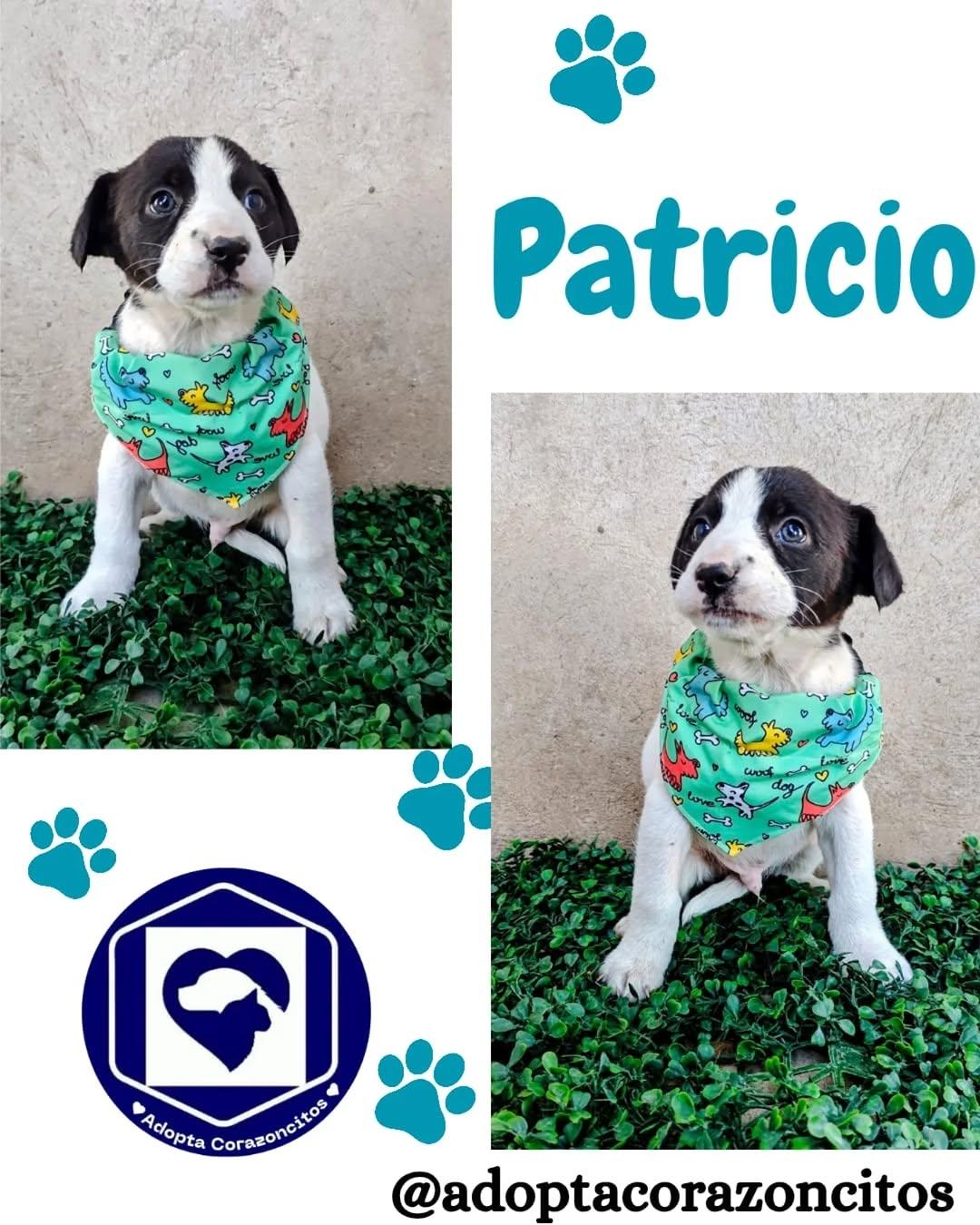 Patricio, Alan, Lucca +2 (1/5)