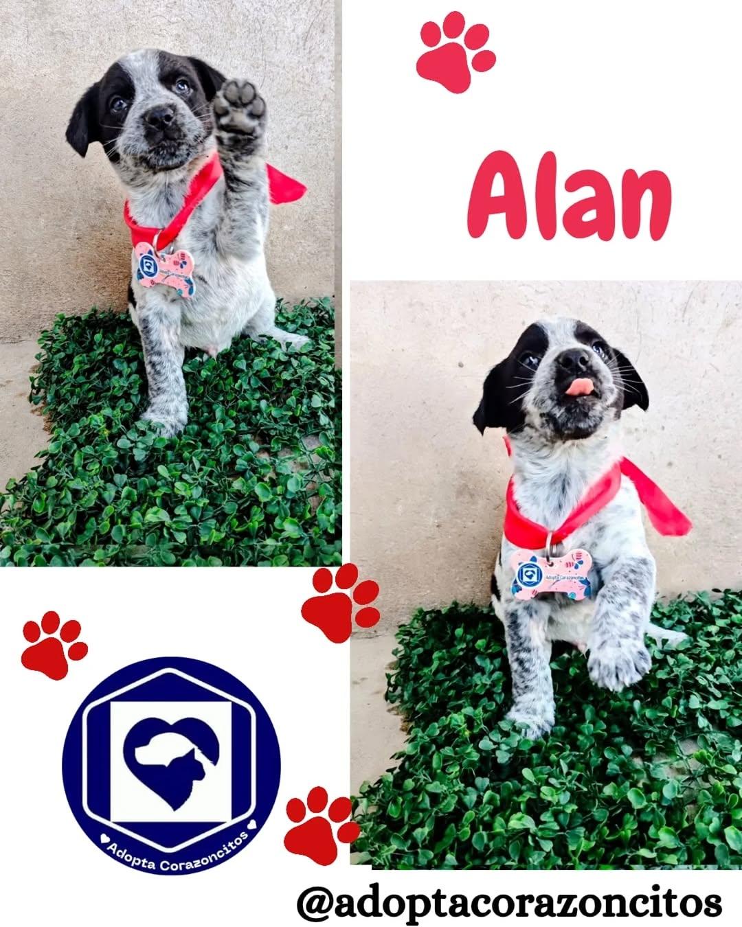 Patricio, Alan, Lucca +2 (2/5)