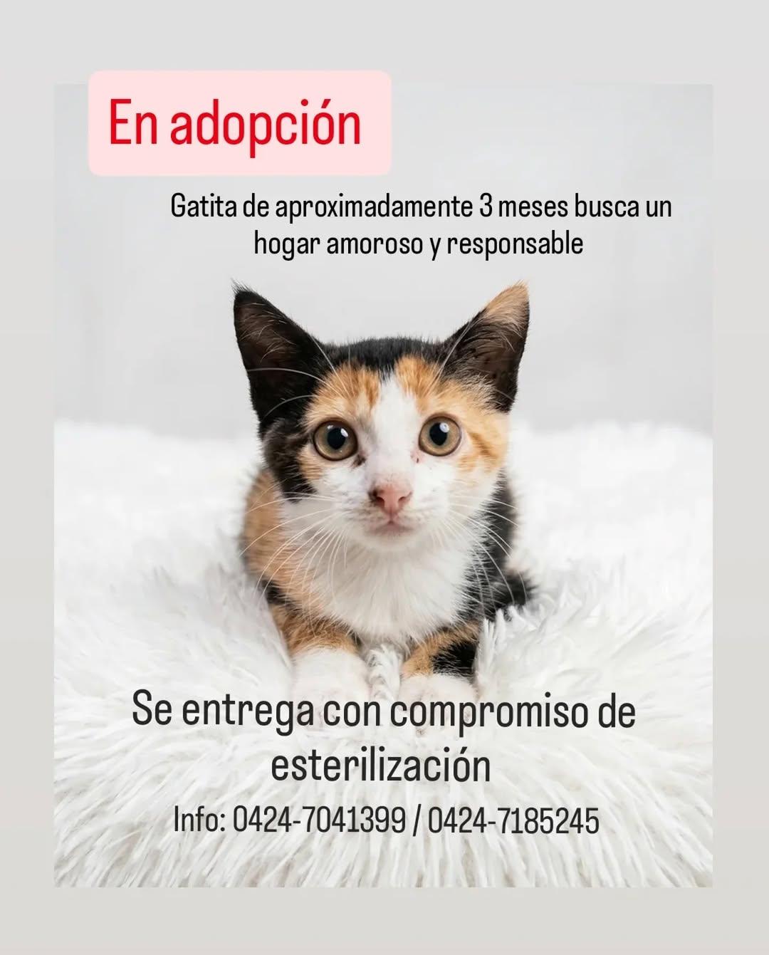 Sin nombre