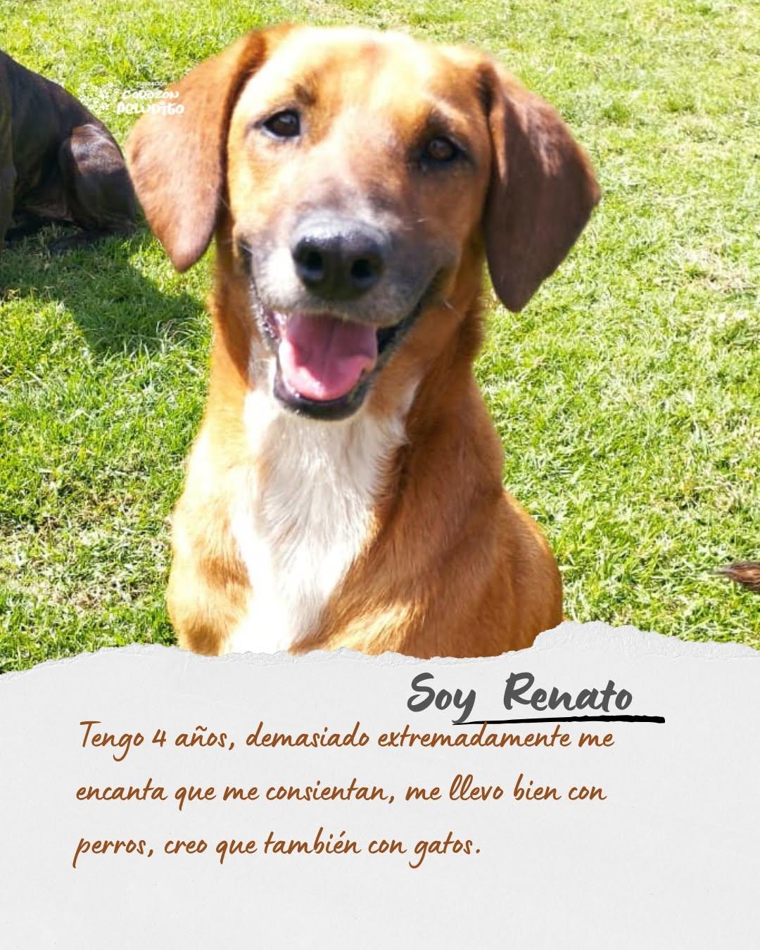 Renato (1/10)