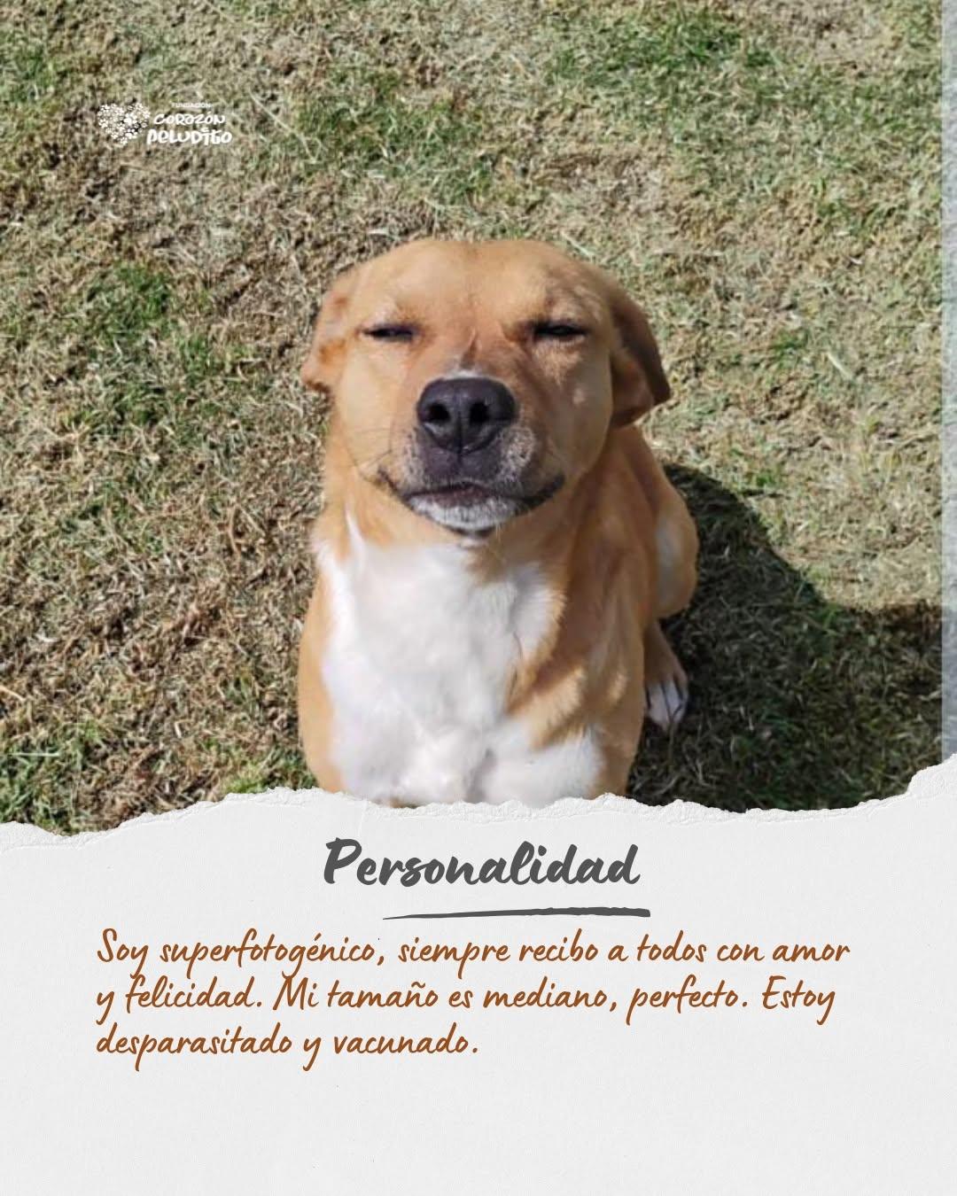 Renato (8/10)