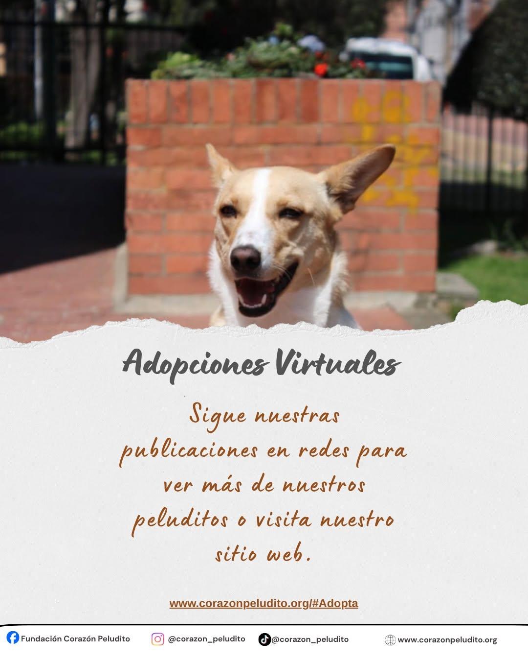 Renato (10/10)