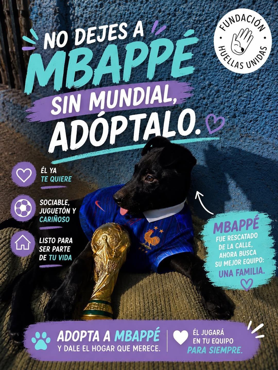 Mbappé (1/4)