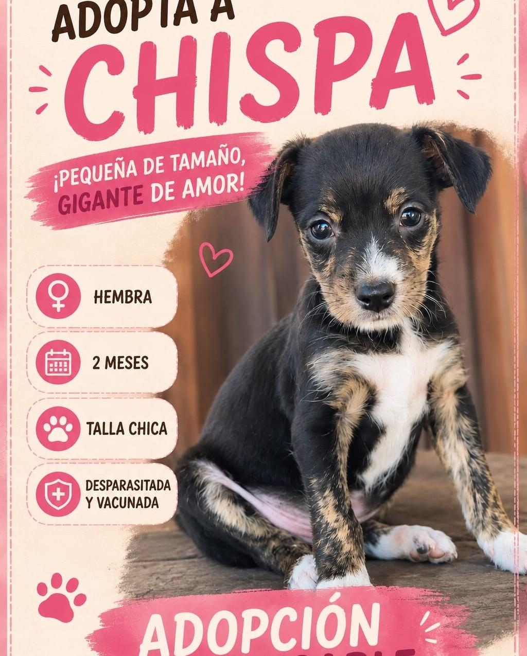 Chispa