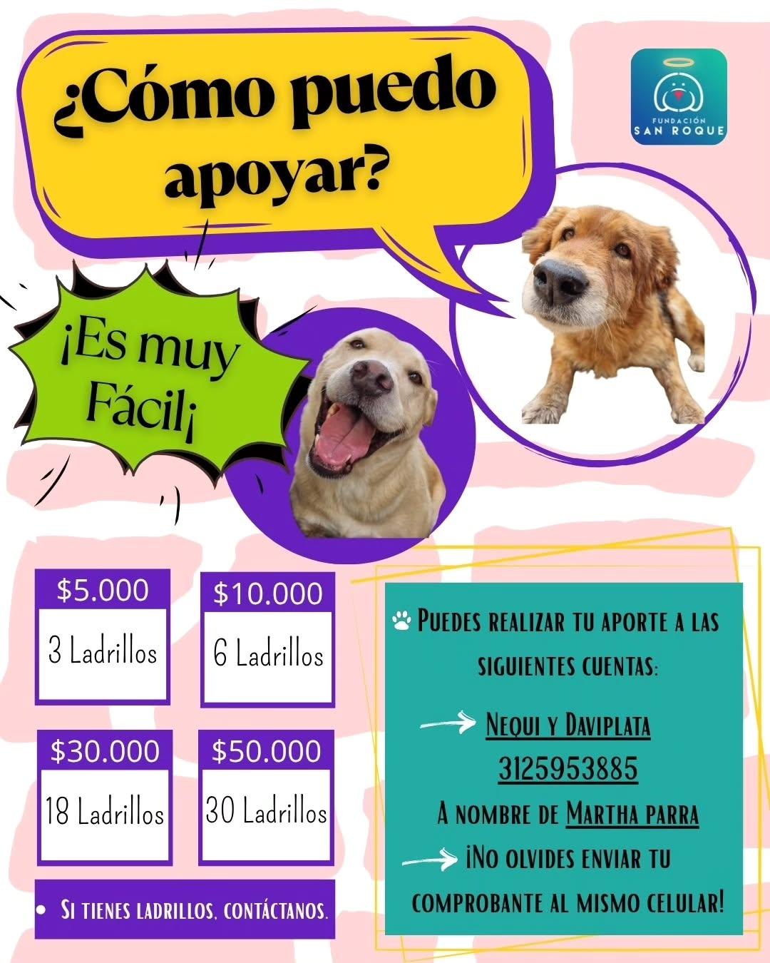 Lupita, Rocky, Brownie +1 (3/3)